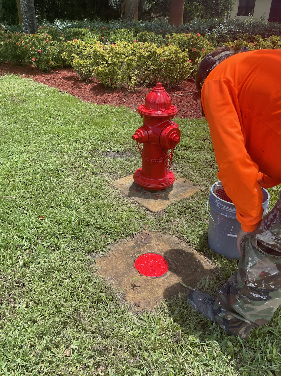 Freshly painted fire hydrant